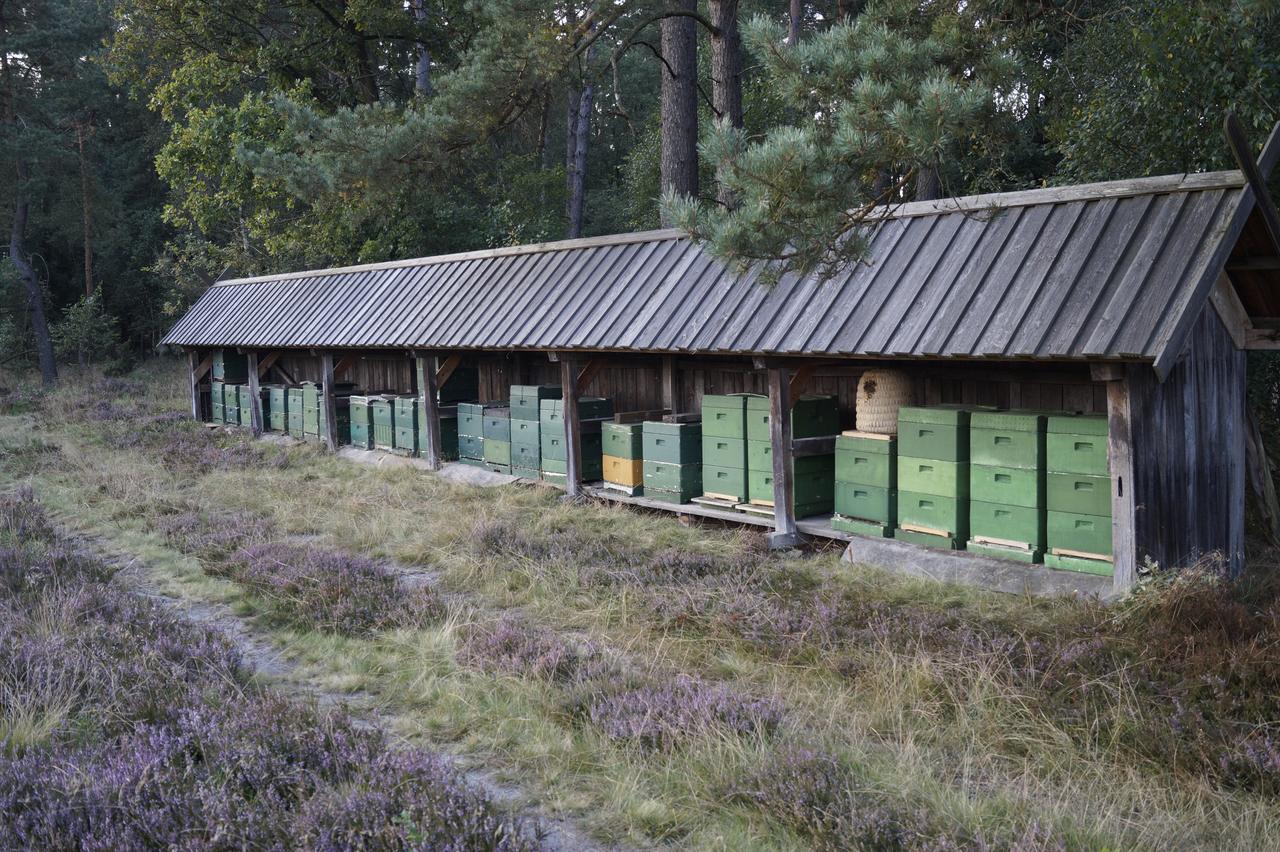 Ferienwohnungen / Ferienhaus Wahlers Bispingen Kültér fotó