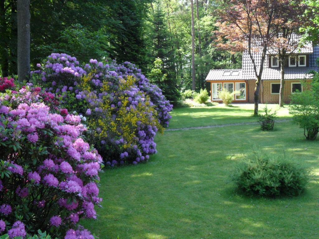 Ferienwohnungen / Ferienhaus Wahlers Bispingen Kültér fotó