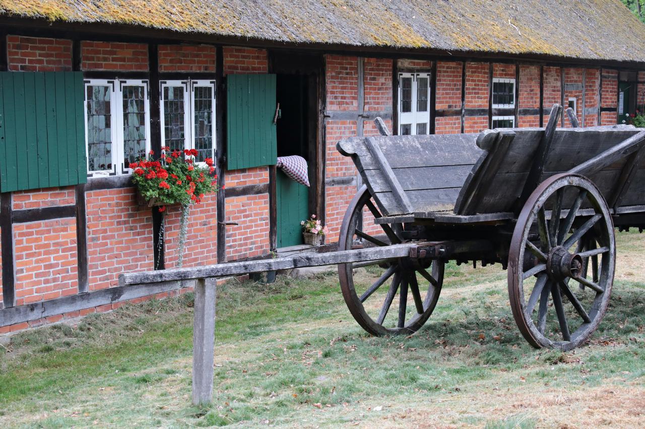 Ferienwohnungen / Ferienhaus Wahlers Bispingen Kültér fotó