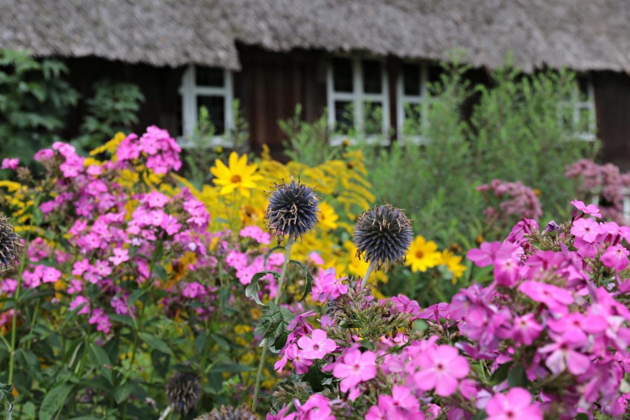 Ferienwohnungen / Ferienhaus Wahlers Bispingen Kültér fotó